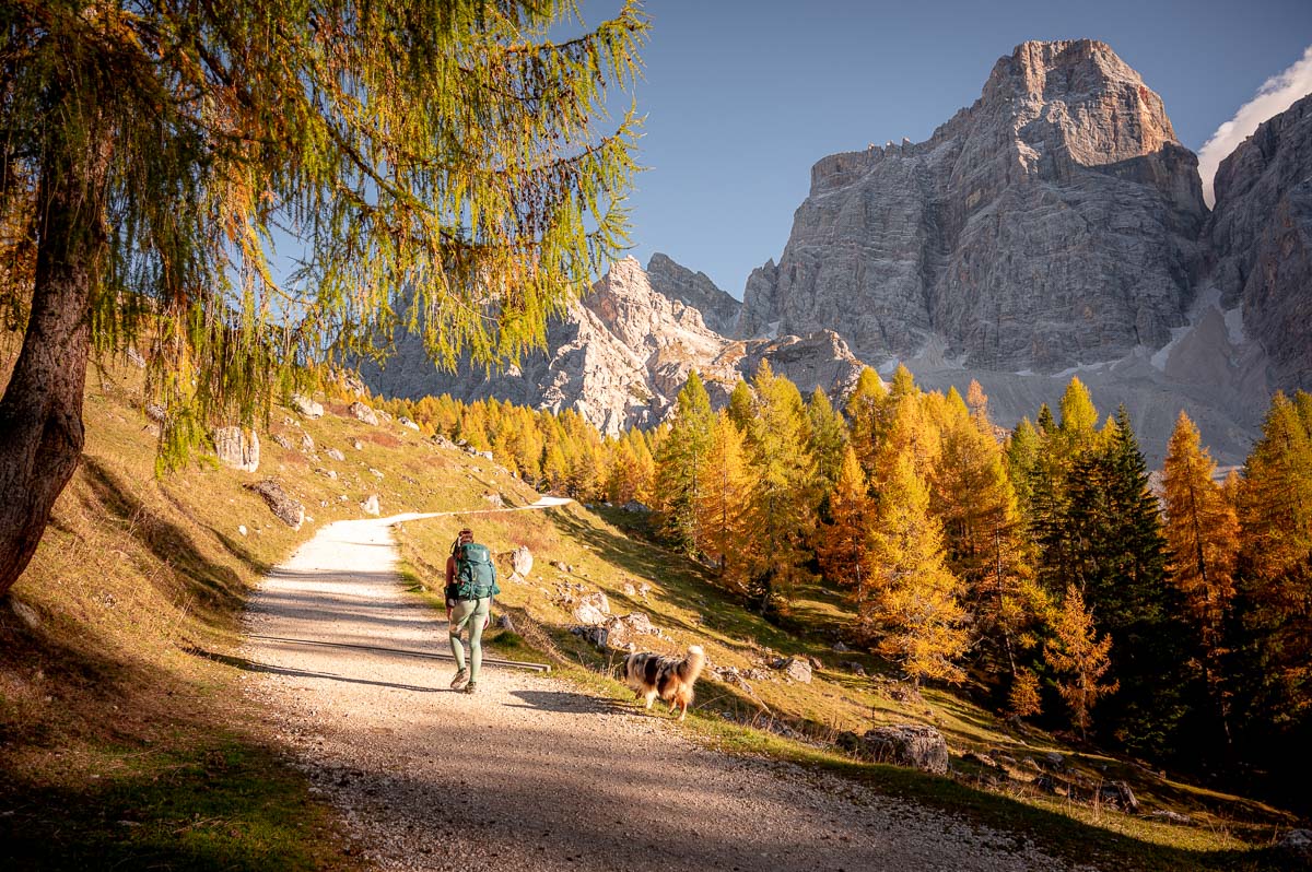 Autumn in dolomites