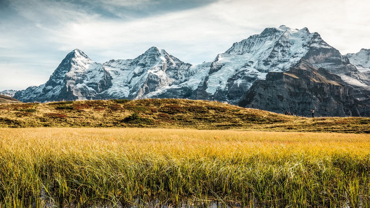 The Jungfrau Horizon